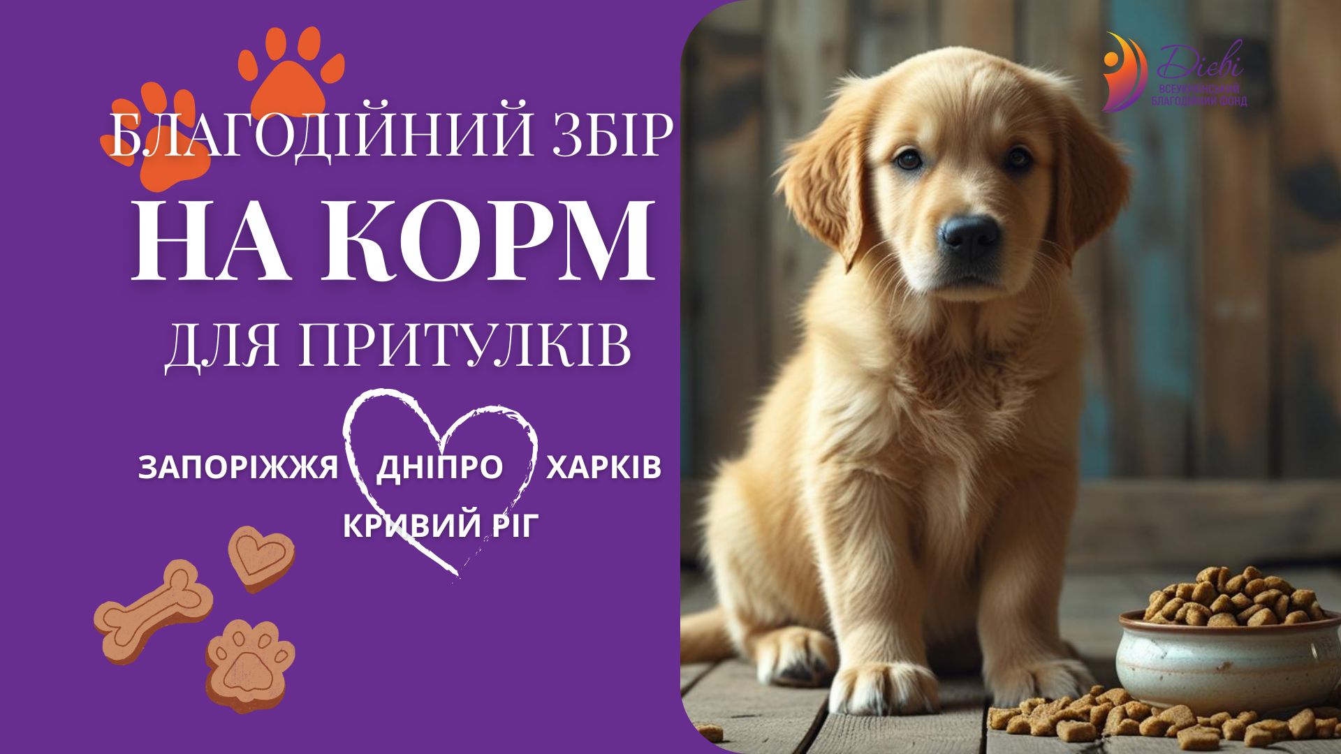 Збір на корм для притулків прифронтових міст