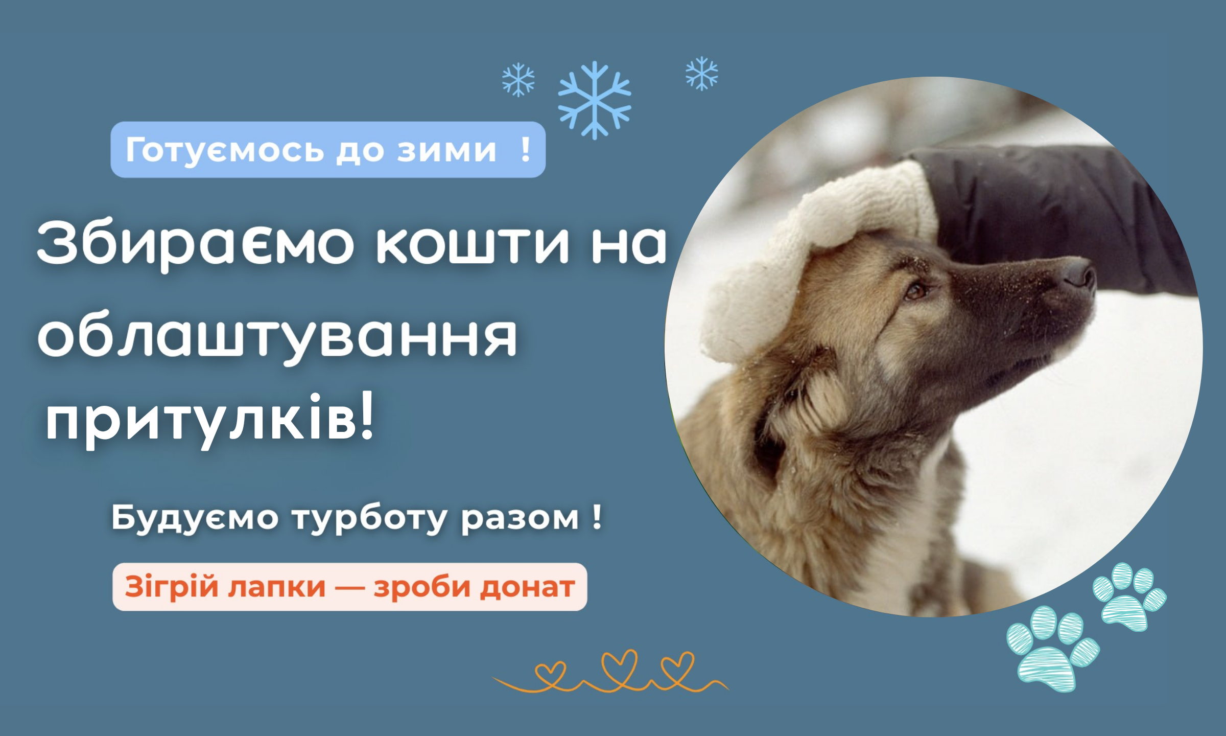Збір коштів на облаштування вольєрів для покинутих тварин