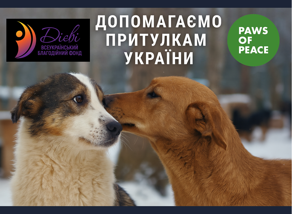 Проєкт допомоги притулкам України